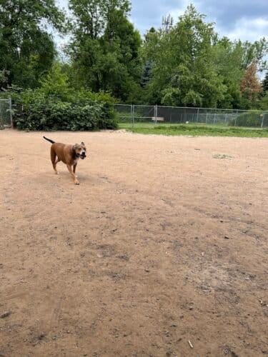 AC9h4nptWqlmS3IPLVUay6Nzf TitZbrs0JIc2al7oQKrX498F2qHQ9B3yaVxecjcC4W8vsXOXbq6Y3uFDNjlkzB44O3ssi qPKt1MOJEH TlFh9 ifSUhVwbMlZZfox9bBwycbiS6YXw1600 h1000 k no