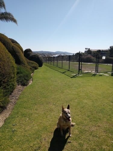 AC9h4nptb CLeYcaW2WTLEVDL5GClp6jW1A AWiA3CeLG0SmvwdX9PeRAg2Mhx74dwwNbNkIoUo4qByEKqeCoV2DK4IOWzM UXrssdFtQvL3JULG5VwPH lV9VQtvf248OXYBhngxpl9ww1600 h1000 k no