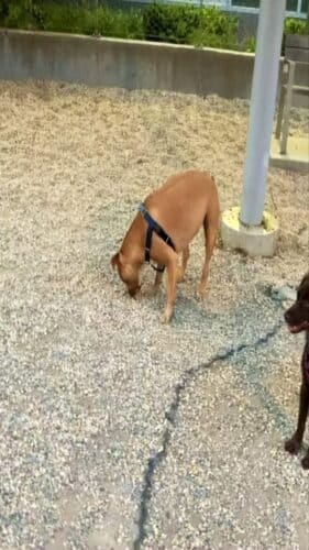 AC9h4nptdI37AyLyGmaqDI1FSpfrubAYr6sExSl3H5Sie5RVFYjFAccd14bpHek6AZNaClZyH r7J7fU7gHjDhwEuvcgzlnk d8cnMMA2SzUUoeAOUqpjJy iiO1rxaYnbKK6KEgp7Trw1600 h1000 k no