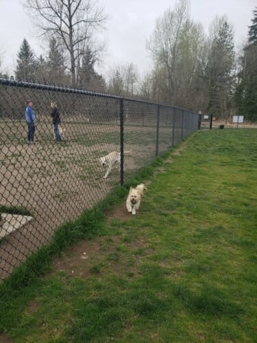 AC9h4npu0Snar7bmjZInowKJRa3E33z8o662l2GEOH5MDG0OpDutASxQOJTLEf629AVtRZyk4TwENoPBhkEBz97SfC8NUqFk3sjl8BO qfJBep ezbbfTIqGeYv6DLtXzm6WokH1 6 mw1600 h1000 k no