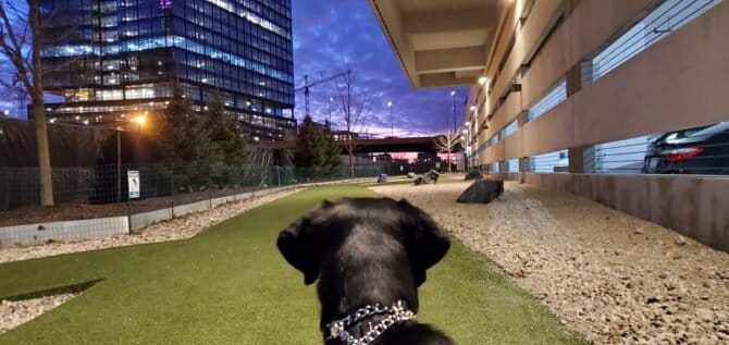 AC9h4npu2aByQqds2Q1GgB2Le1Zauqx4BdEAmdfIeysldAry1IXAoUl8G5CYbgiTvbcruqVf75GQgGiPWl FdZPy gyoAmVCPmM AJzEU aUIig0f37PyxPiF6Mu G0Z7SsGgL5jNhc9Fww1600 h1000 k no