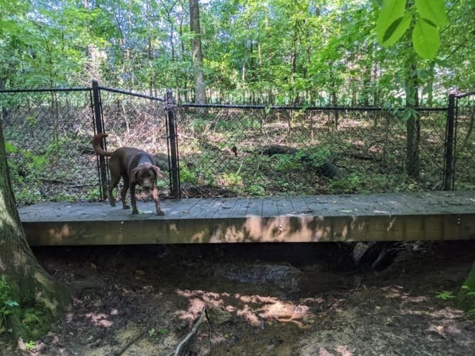 AC9h4npu94qMmYScHVcmINKIuPHHh0JkiccUUCVgUSgmv5ag1ATBmsgzSFsoQpGojGUsORYfZqRUdezOIHdvXrzc6z5mK7aVGbIN1mqoV0BEeeE52D5iU71  yX5MWJGusnIQst Bxc0w1600 h1000 k no