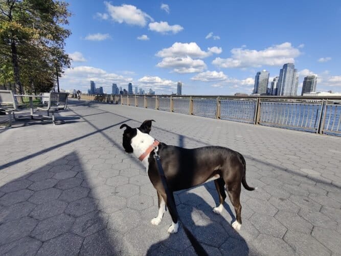 AC9h4npuXbC5e2CcPKQ k5LEZ6ExFXp1BwRdtBfPEqf5FxdlDE6KFOoOYNrdib2uRcnL1zkC0qP6 OKlsMzdwoc9SnokqUIgbzMC0qDhp0DRFG5n4MCXa61yh4DIPiKs sKVD7txWP00w1600 h1000 k no