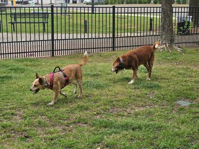 AC9h4npu D0XpXAPqbRltvDWe5Bk9GpD6ddAOJBc1T7ZdB yObTGEqJBSlCnmbNEPi5ZN9gJuJdq6p0DFMD3qDvNStut6lNjtS8WCZqTeDAw1600 h1000 k no