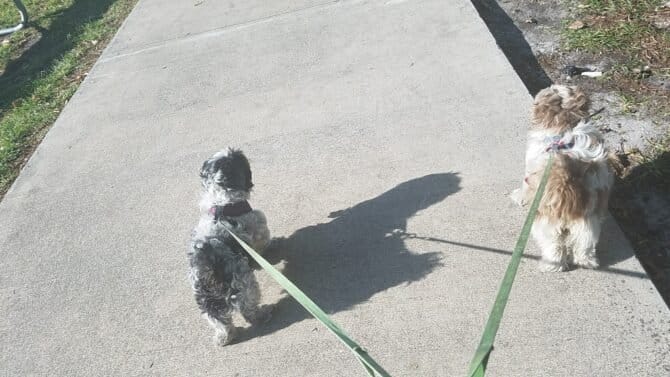 AC9h4npucgARHJq7G SswqBqnF2GGi DhRrVI1KN8MEjwE75fZZsW8uqkBQLxiAVFYs3RK4895cdhubcjZRMXM8xxuKoZSI6cJaCE6NF jQ1A5OX95bRylpqd3aH5UK5A1RBuBvDFOZw1600 h1000 k no