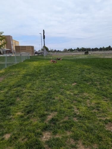 AC9h4npufgRFaqHLvPxZ0lCiKPAVO6srbLCmh2 N4EV7J1YkjmACxUHayloy 1O1Rvow2l9eZTrKuN5afBnwEX4hDZXwF0sJXCcfLDmZIaWKMxGz1UsVXGaL6K7HQUghjpy6zkb1 fMnw1600 h1000 k no