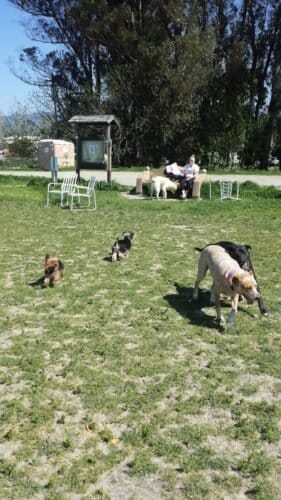 AC9h4npufkSuBl0VpD30hzYGkujdfa9BzkfnE3R6QU22ctEO0E6N33E4djMwIfdrwucIEQ C3cQB47ocphKUAE0 1mhk7 bvuqO0zDiFuVfjRhVh7aSSM9XZtZ90AIZnIYqvevkF0qIWyQw1600 h1000 k no