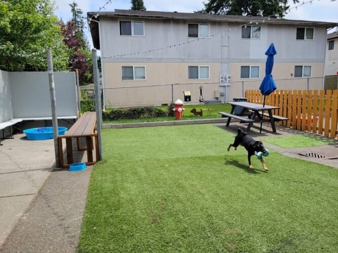 AC9h4npursyWGlz8aKqmLG6SDZB60YpU6itNu4F7RQEX4kAu2ach9YQPNXImOlFqtdLQbBEADglkw2feLTZiw Xh HD XXwLNkCyUVu mQw1600 h1000 k no