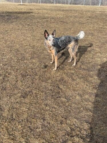 AC9h4npux3IsGIUh1zEw69zigPQzeehATKSHV6gyDZRsfI1hqqh213N3Ng3izAIriGsAiVQMJghNCEfV3UrPQoKJGKjsOJlevTP8B0Vr2FXOCXnjs06G4Rd8cA1hSqUuUMd63b83Ievnw1600 h1000 k no