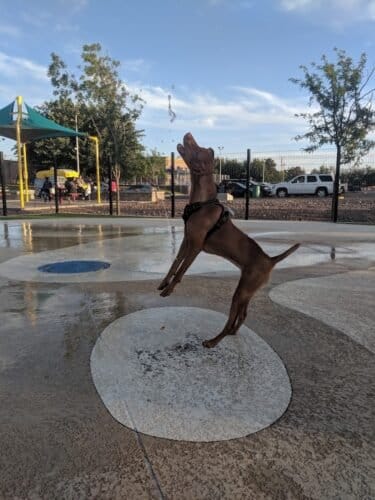 AC9h4npuxFKWlK9tYo6Dnkuj0pn 4vyYpoOT4gb5T8Fhu TGK8 JoYBLA  uxbfcFJWgU 4hWQ20CsOCtYZU oGRw7IqbOXIo2v8f02piiow1600 h1000 k no