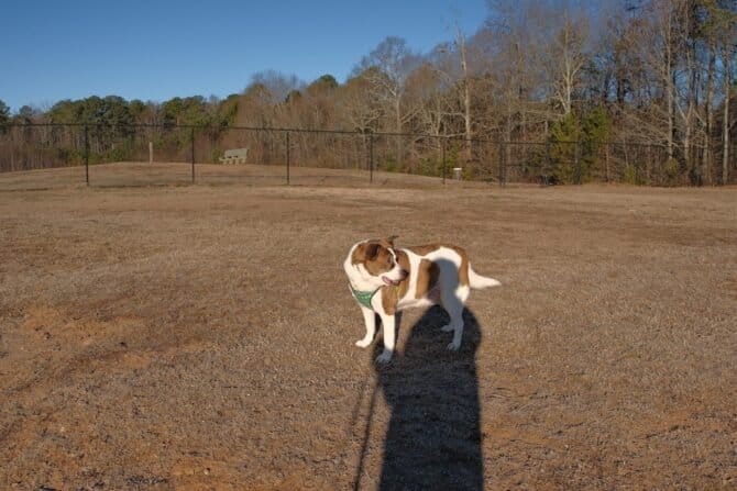 AC9h4npuy DK3uDGUtu9JTvrvPBFlkQPLzmssKRN8wr2KfxmTfjDU5PBVZ9RH hQtQ7jWUannbBaTWUIxiMaQxLcLCp smk3xWjzci3bLzE5KlNEqDW1jWptA1E aUn9xOClkVtyl iZw1600 h1000 k no