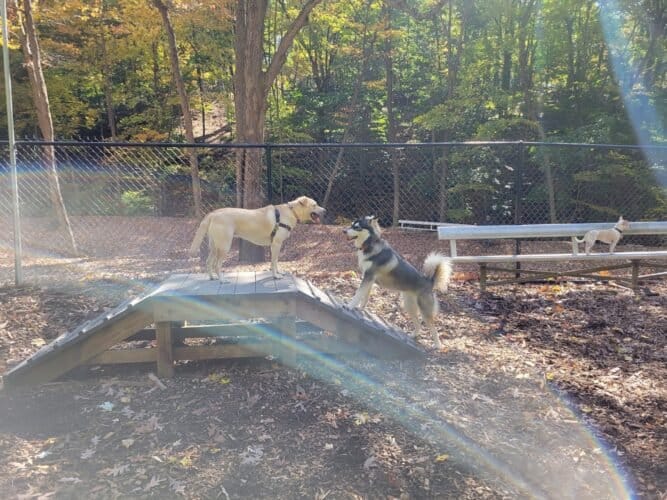 AC9h4npv 20OOgE3kuWcgHK4y7cdoqUSQTTkhRRQ2jv2jn1BPIMNoBceXc0MpxjI Ej lhcD6qxdFz6RMO8bOs SLGfta2LjzQVwX5p3KOjk8c0Me58YuT8QYLO5AiM NaPh0EMRQZL8w1600 h1000 k no