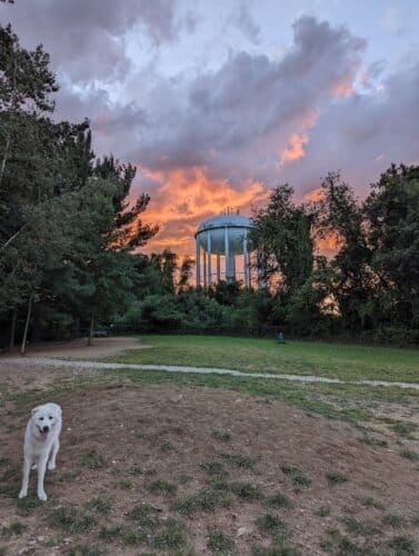 AC9h4npv0I6rnapEdCNGTgWBaFDO LRri6CCWuuUKoaUE94gaz3pK2Hd853VDpL0f2vJnqSxt8Aj1ILEZA6udliaTeJejgLKNIvXa6czLjq41ZVw68iiqFOxjoYgEVSy KyLtPfbX6aew1600 h1000 k no