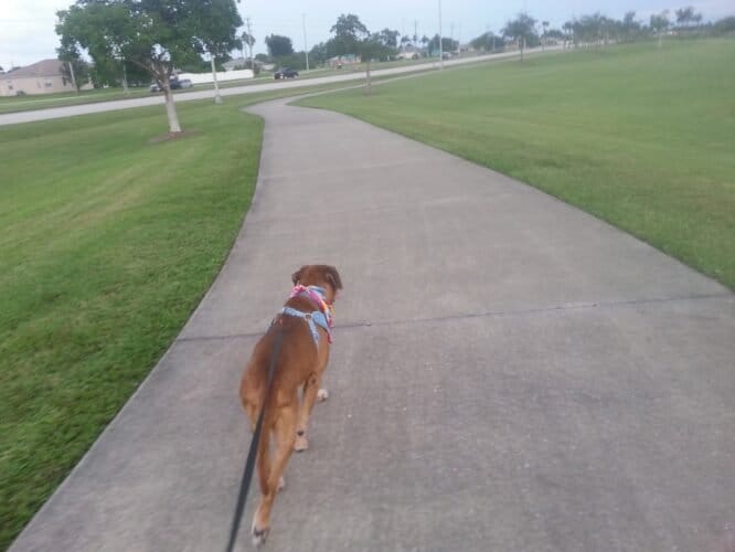 AC9h4npv81oXc6xuiE0FGMsMpP8U6HIGVXQ5vRm qfwe EEH0urwR7AThHdlK2VQZ3PCHcOsBDp tepnmTdrjZUavNKVLv2i6PoHbGwWehZyWHwYojah0Z50 hsgPG0iNQxywvcdZwjKQww1600 h1000 k no