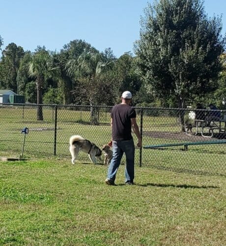 AC9h4npvBa4y7RYerQVNuDZ2JNmX5eXcabnzGmUDwLmZgN9t3LW6rGc0le8wtOoix5nCFQvRjnZTmnwrr9ETfXzY66i7SyTr4GXCQKhnmRow1600 h1000 k no