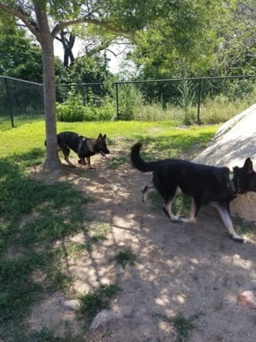 AC9h4npvGUvsalq1mS2AeXwy4dws4IDu cClgr210uL6aAncz51BCQB9tt5nL1Wi4yp5np QjHV2Q4izs20dEPjv 3ApKrI7IGs293 kdQC26Not2ubeRPJweLIGa266pBEI8P utOmFw1600 h1000 k no