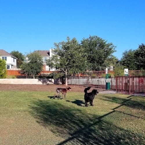 AC9h4npvJnBXpIwtOzJXu6i1lZ1mybetcew2Sejx1pCM5AUjp9zIuItK2DhZ7uBir6ScPjT OrYCgZBFE1g2jSBqn317FIwFBaGqibM9nO6c76qhPb0a8vk4E7co3CGzq0zKU8tm7WFORgw1600 h1000 k no