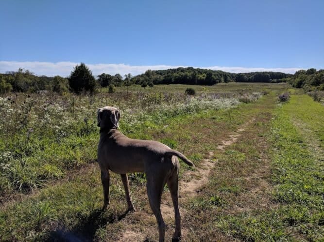 AC9h4npvQKnvdztllf5MJOVJTfCwEpdMddd0oMJuVyBFf54eY4TDv9CGPpqMJtHOmeTKpLcCnwoE33HRhK9iRYmmGYbAte FoIE84PbsXU1db6u7LQ04cm8JcOVMHB9NHkA3KFwfZ0ow1600 h1000 k no