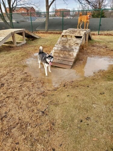 AC9h4npvap00eG P429o8sX sGzL3vzeKVp XfyP3XIY0TAYEl53EtIb hATlULL5BpisMT827bx7Piim7l2M2PU6oulscT4DPixZKaYXcUtIBMYi7SSUl5kFyWUk13Q1TNxn52 aFYw1600 h1000 k no