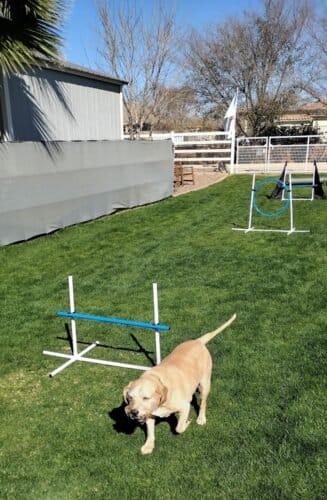 AC9h4npvbPtVSaq2P882AvYZHGky0KRDbmOPPbMoTEhBK8jPj sJmi QsdwGDWTmePKGj5w2wWbUqFTOCDF6WlcjsdeJEuNtPYzvXEcNOlj07WKTM8iofNPRCfcDaY Lr366O84 d48fDBK3N8kw1600 h1000 k no