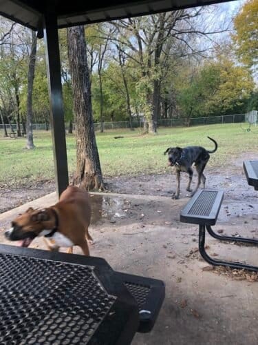 AC9h4npvkJpItCoj6gmpGsxqA mEEomBnwOkIZS7vWnTi4jAjq9OAsVJ6  D vJD0VW6SXCt1GMQHC5cqpEsMLAIuIWlUn6EaLNrBweey6FUE bRWfSJMPUW60Ql1IKSVK4x o1m5LHNNQw1600 h1000 k no