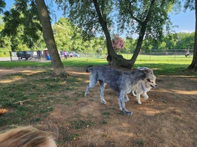 AC9h4npvsLaJc6DLEOJdB7a0jxG7bIAvtcFUlUZwlcyCgvhEclC txQ5bwH5 iJ1xc6 0iGDRp0ARWi90bnWgoajQd8aCmPgloH0U lZfx6V7dySKCH4MUsO2 MmTmiVBkZlBp8NtzNKw1600 h1000 k no