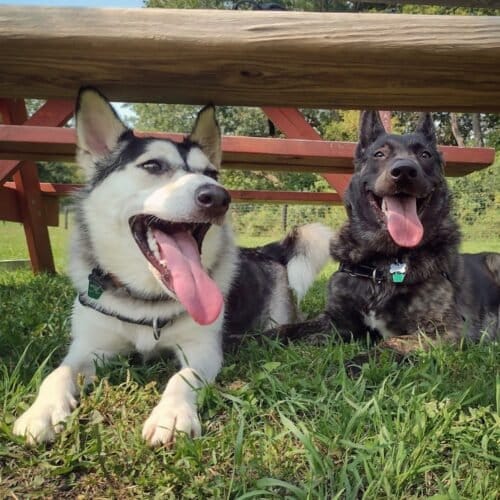 AC9h4npvt1pMB8EIO X iYlbb0uXCm89TEZreTQrqGB2nIMC8RAHe6lD8Jh684WkFDnGMwJIJ olZpgdvKEfhxsxWUb5KfVFF25yeCYDHYTnQBlSEHF LcTAoyCpJJAlFa56Y0HxK3240Aw1600 h1000 k no