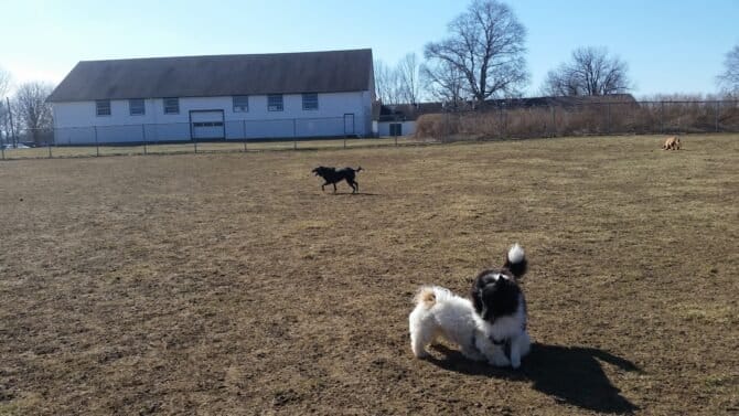 AC9h4npw47ObgbU6XIBdkcEii7rcV0D5ncvQYU4I H6mLBdsfP1i97iX44Ni7K6lDa11MvuKIiWAVLyDnmL76pWUt6BC1NuCtkDHpWyFr Qox x6H2HC5zK NBklfS 4fK7cwmQ Ci1Gw1600 h1000 k no