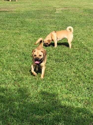 AC9h4npw9KYvMln XhrgIitok0VuKa2rhRASjj43lzIRnrNipa 10Tfck1uwnLu4Hk2FCTsRtog5QMYZsgQgdJ8bVXG EHgce6Ri5D0qIDnqwzlNwLu8q5pqQTNSoPvg9luJw2WrXxmJw1600 h1000 k no