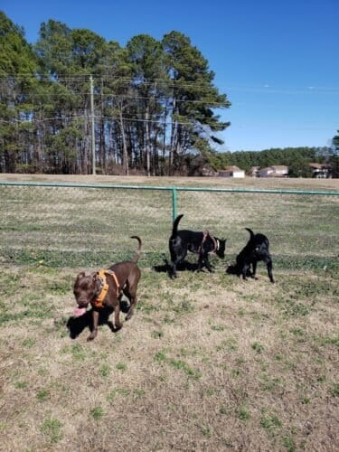 AC9h4npwO1KQFRgIExLVows GMUrsj3 qkCc6mQm2xj6 s6etqi63RDShCNPbuTy5H1 oXAO yWKo7CV3xTfQ4PX W2rM9ik8yog3mE884sRMSAobQhNNrRcKyvUWkhvA3crgQxpph3Ppgw1600 h1000 k no