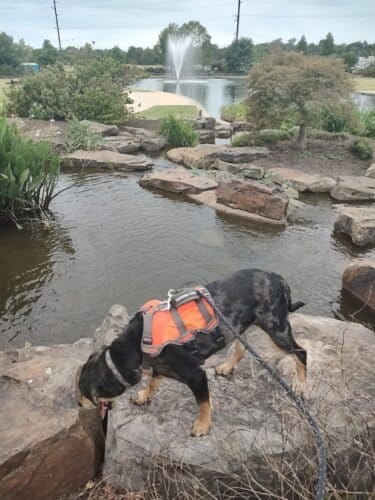 AC9h4npwZADPq oVPgiYt03g8NXvx00 u9C8NrAiTbdGI4BUXXFdEYFbVm3ViPRaNljOFqvHdwP N8FyT8GWz GoBgyR6BUiHHMfw 4w1600 h1000 k no