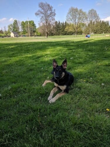 AC9h4npweTtLq0xvY4E0BrCM5GgL0yolYd PeGNiSwG nXc5eVJFLHuvKEKzGpo3cNvxHpgBYhSeQdl2JF7C3HzlHqetGVCXLCbiJbX57HhxYtO5lx01mWQyynqBxnQ25WKkl BPBmvQ8Qw1600 h1000 k no