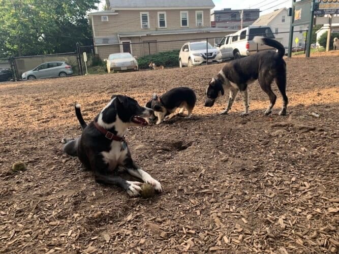 AC9h4npwnrW7JyoOVwJnC4QI0n9q1yKmiKFM40VtYJZpAKW9J9zoLeNm9K epbpEcKK6drBQFL2ehbdbz9R6jqfCXFqsA4nGxz1axl954rwCrAkpoJSqgrhOwPbbFA0KQTf1G2 yS0SQOww1600 h1000 k no