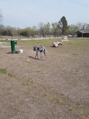 AC9h4npwtVkj270DWfthcQTZULDml2nnsrxErm 7cC1dCgymv7AY WqKGrOBSUP8E6pKkpUnbQQQkaHSy6Cdu5ELiDx Ds1oL7XH5NUVeqfU77iFQq5jgvkgIRoOSD4NVG QnfFJFZ0ew1600 h1000 k no