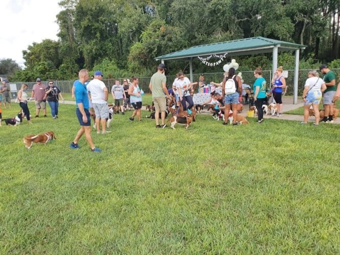 AC9h4npx0poXtYvDanDlQ7D6axgkUCnuTdPMlbaxex1PXAffgJA34mdFjwLRR lfN6lip 0gVUH6Uy3Zaivi2DrPaDG9LkK7N0rUqmtmYAw1600 h1000 k no