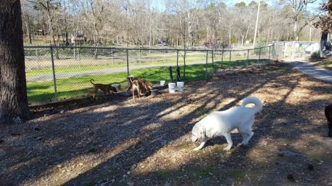 AC9h4npx4NoYbOXcEkGSpFXrmuqnun9lskEeG5Iptdr5hhhVoPj41NnX459qAk8ntbukdB7clK 7Ggwz1IEh2SzEhAx60rvYQPpdkVO2KwcnfRxzn3r3D4f4bYCld5Za58 wRo1jPzYSw1600 h1000 k no