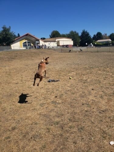 AC9h4npxBYHouq7aotTunD2wDwIwW1p KzfXHWrn5m0eoY7u H1bp0 ScYDB1Kmpg6ZJUVtvhFdokShOtCwBXp3R2wc nJeQMBl15r9EZMYUmw1zjTHGau1HNhheKHAYS1M0QUxdHtFWgw1600 h1000 k no