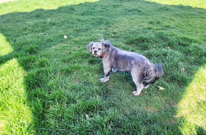 AC9h4npxDF7DzbObGku6Ea68ysvixTvgUF6MOs qrvQrCZ5rMU0ypfmxTaMFpHIZMtg4BBfctes1lFVIKu6Bg60Rrir7bf6OH 1dTQGYL 0QmTTD47r5l4t7dK8WTRnMLJTDYJMbxW4qEQw1600 h1000 k no