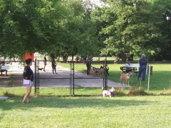 AC9h4npxDFh7JnpYKC5SYMKQ01O7gHTaZdrWjgHnSwFUtUhc1eqWVnrk4GNPfpgthqs9MawcIoF077cmoI aXo70zbsw 9ml8eo W7kqRLgw1600 h1000 k no