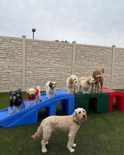 AC9h4npxHzUfDv9PEoNUa16h YL9efFJOawLNexLaD5DRrzYeLgVwwJpyhiN0icH6ugENBDDz9deM fnUzhx AvmE5iJuvLxcs8w8jcRf K87eOhsziseTTm1eZRTpzmx6TIVVwEflrHEQw1600 h1000 k no