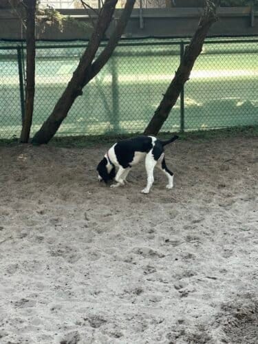 AC9h4npxKigo3qKOBe8WXtlfACNGDFfBAMwU0yS X9 hicPdc60o5GjBlurwSOEIcL2rAunb3zbh5I5WY4xmeK 6qkv K9iiQnK5TEOUy9yuzVsiYhPxPZz 1mZkpD5qB5S0SrgyA7RhrQw1600 h1000 k no