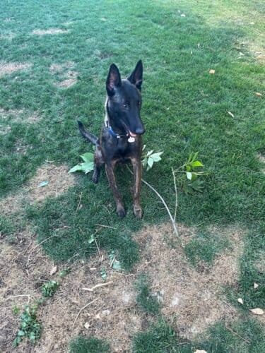 AC9h4npxS4NcUNHGSpM6TftjQ uierAEfPX87WVGKulEZp5fXplh2PFlfThYD723JHr19619fSmbDwCS 8vi2MljzAVuLD6b1pw8TCq0yWtR2mwGAiUbBCath26EdpHJKUNvzmcjB eKw1600 h1000 k no