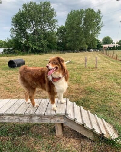 AC9h4npxYQg ZdzSpDfTWTx7BvPvPw4oL85 voyTnb9b1ZisfcX BAUnL4mXrM581LlmVODcXNYsoAjxQ4bjIb4cA5ejxivekzIHvm1imb ZhOineZSXekW8Pn1t xNJSMWddvxBelIXSQw1600 h1000 k no