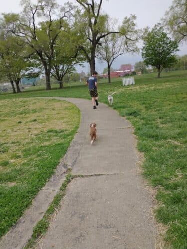 AC9h4npxcWofIHHpZWRkcbIOmPaFSYMeXmS8dcA64dLfH2qaD8w citze83JAykCXDH6dmr7CgWcyxc3A qG1fAVBwWL5CaTbNgmUnfNww1600 h1000 k no