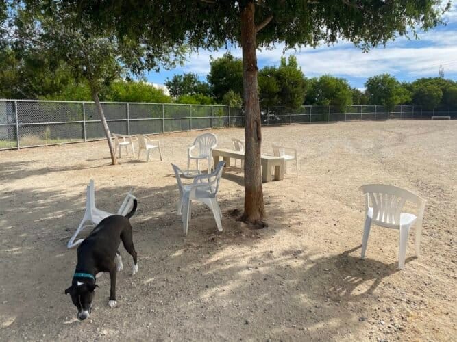 AC9h4npxpM6PrWcfMxyAhwday0fWZNu b4XPy6suQ6FBtzydmGck YgBIB BNb4jExww FmBW9En PT6aFebItIOWDnhLTv50t2j5Shjw1600 h1000 k no