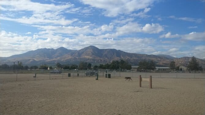 AC9h4npxxiuuCvYzjdi1E92aBMF OhPsQDoprN48VfKWQzn2RsMvyZJe V6 hRWqJ83 7AXZWqxIoF VqtPXYsw5CQhDDMHv1PilVvOy5tXWR5lgcgDDhgrT7nMCC8XdROR5rO71Y3rQUww1600 h1000 k no