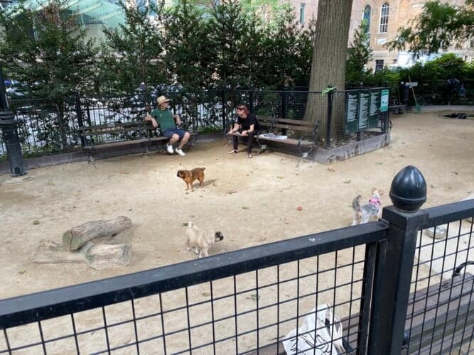 AC9h4npy vhBBZeQTBtHIBIgYXEmP1Xh4gqP9BFFDIC9Whp6nt1iQvi8hPq7wxNJky1L1w5otjWo2xn0uShddZnPuwNdGpzBfstq8OitXwNRuACAWXucRwSSSlPZvLeyhRjFUI6TI2qGw1600 h1000 k no