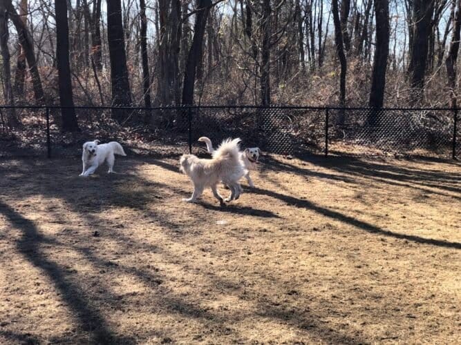 AC9h4npy0FIm3BySnj1v09ta cQ70nXzx1PUjrMGDNeKx7NZhlqb3M0WqJRYQSSLwQH08yrjC4vdM5rsI55EDooQjSwNA8gnZ EPFO17YGpdN dofPLBYlskL4HUi5L4E8fgJgTTf40w1600 h1000 k no