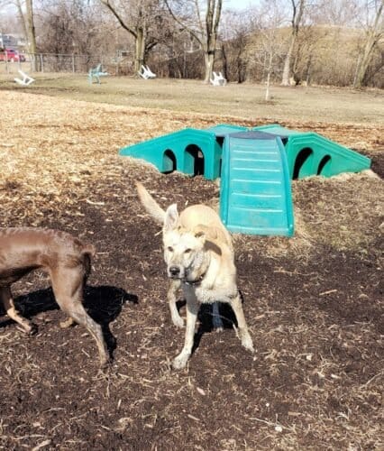 AC9h4npy0NCnS68qLFDAoLbkdxKS69FSMse58I3Rv47IENzzok3DeWiWSCWiEM0iL5tweS1kp2pUpOjGIu5kh2NT gSmzF EAVPVuYk319lUUWU DB9OhxAqzk3bqL07hfECKv0o1H3mmQw1600 h1000 k no