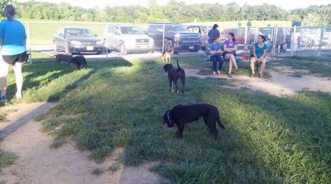 AC9h4npyAc12Kow4GFC9qkkFyDUsTzzLDOPFymmaoOXjFWgu3eUlUJt85UKqGBlH9f70s3zyfdbEfigN1C 9 uXOWw6XpZDWz w3NWZ2N7SjfEiDhDBKl0pMUZmW73uOWZtpNkUZYV2yw1600 h1000 k no